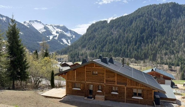 Bright, relaxing and spacious property in Châtel