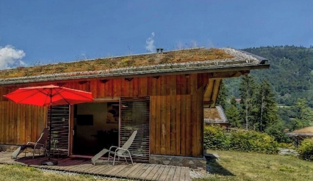 Chalet for a relaxing vacation with a dog