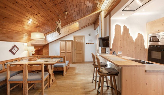 Charming Apartment “Majon d’Aisciuda Vajolet” with Mountain View