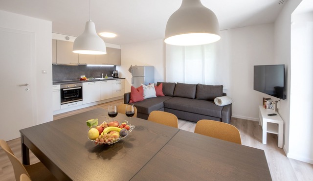 Cozy apartment Vinea