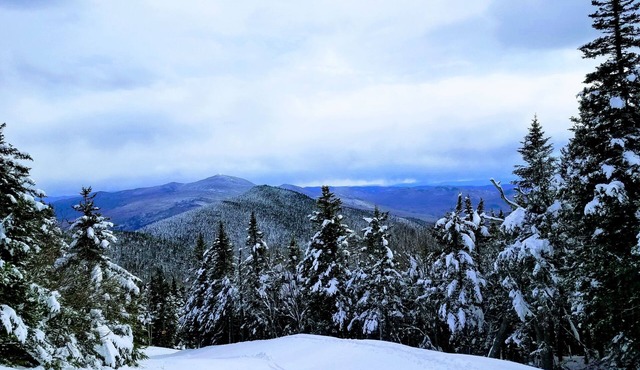 Cozy mountain condo on family run ski resort, hiking, biking and more. Pets Ok