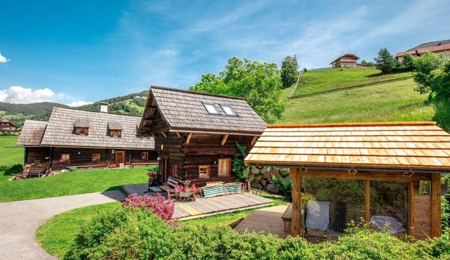 das kleine U in Rennweg am Katschberg by Interhome