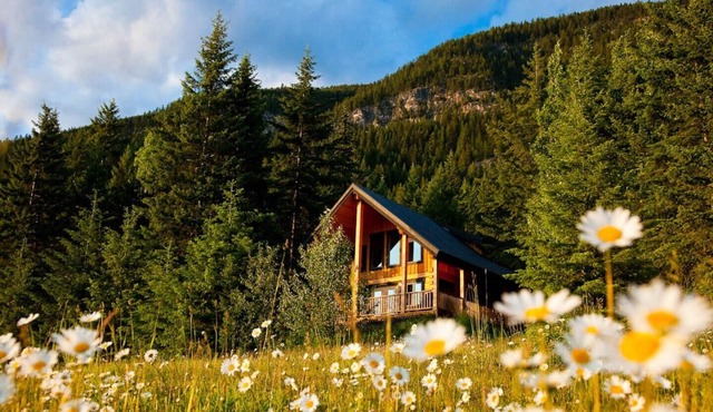 Deer Lodge - 2 Bedroom Luxurious Log Cabin in Golden - with Private hot tub