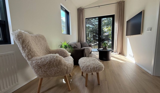 Downtown Modern Luxury Apt 101 Everything Walking Distance