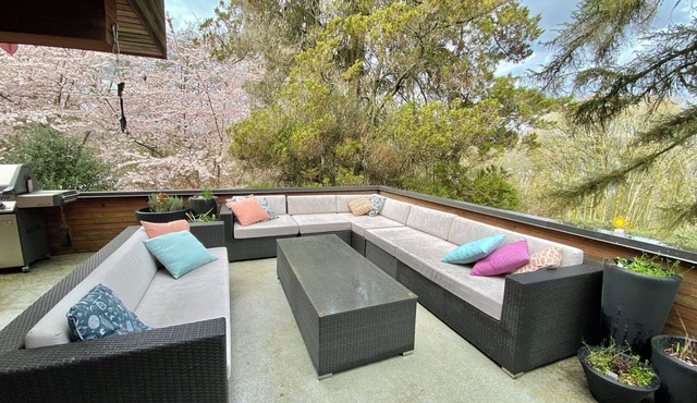 Executive home on Capitol Hill at forest edge with hot tub, fire pit, backyard