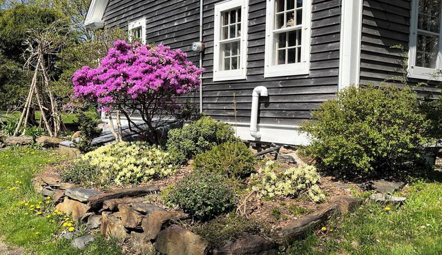 Historic 1785 Cape on 46 Forest Acres/Water View/Pet Friendly