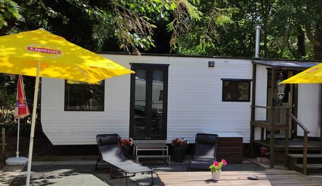 Idyllic location on the IJmeer near Amsterdam
