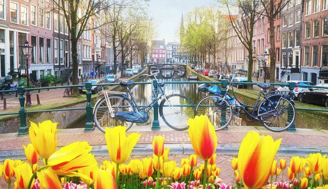 In the tree lined streets of Amsterdam-A stones throw from Vondelpark