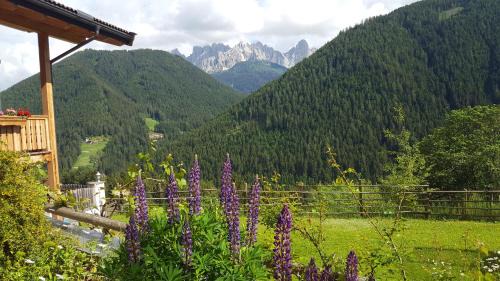 Kellnerhof