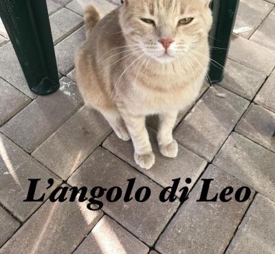 L'Angolo di Leo
