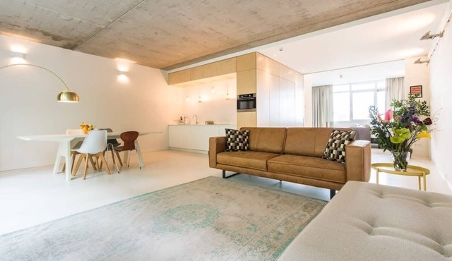Large One-bedroom Apartment