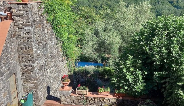 Large quality Medieval house with pool. Sleeps 20+. Complete privacy.
