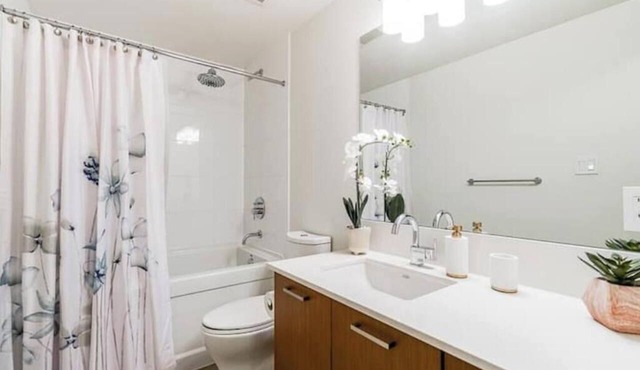 Luxury Downtown Unit+Parking+AC