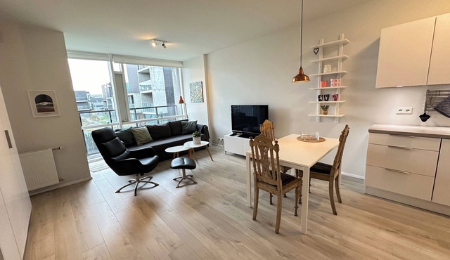 Modern and stylish apartment in Reykjavik