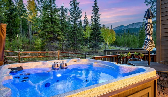 Private Hot Tub, Ski-In/Out, Winter Shuttle, Trails, Views - Slopeside Retreat