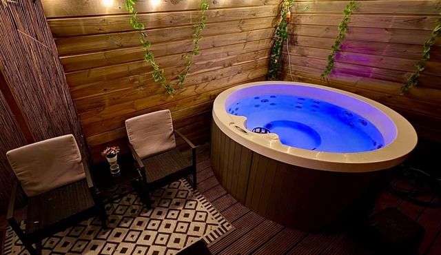 Romantic Tiny House with Private Jacuzzi and Garden between Amsterdam Haarlem and Schiphol Airport