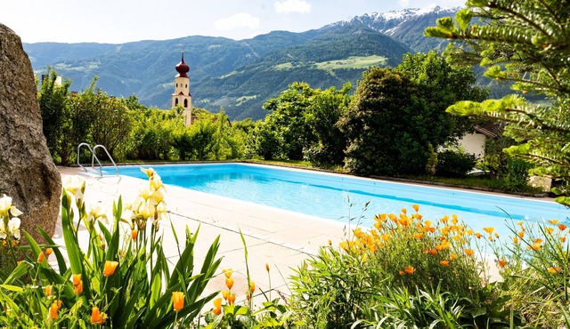 Room "Rockabilly" with Mountain View, Shared Pool and Wi-Fi