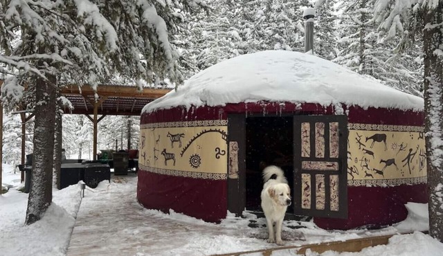 "Shanti Yurt" with private hot tub in Bragg Creek