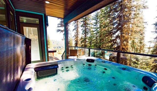 Silver Star Paradise, 3 bedrooms, Sleeps 10 with private Hot Tub Ski in/out