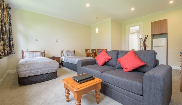 Spacious, Modern Studio Apartment below Coronet Peak