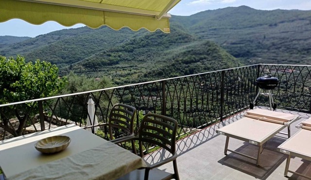 Terrace among olive groves, beaches 20 minutes away by car CINIT008019B5MNDCYLL8