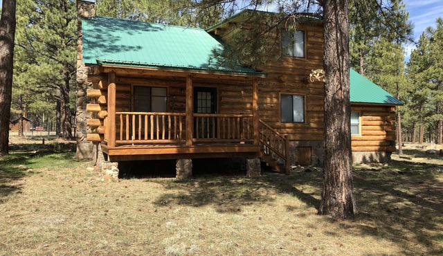 This beautiful secluded cabin definitely lives up to it's name!