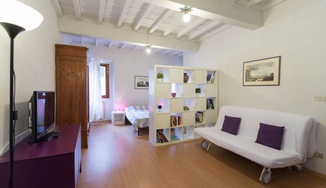 Uffizi apartment Spacious and comfortable apartment
