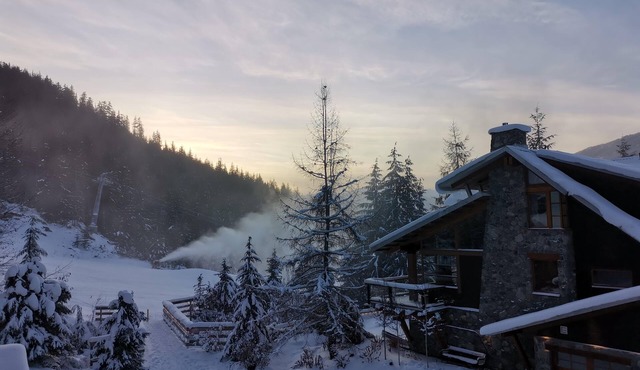Whistler Ultimate Access. Ski out from your door on a private road.