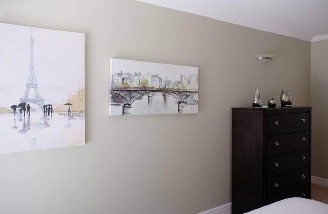 220 Deluxe Downtown Apartment with AC