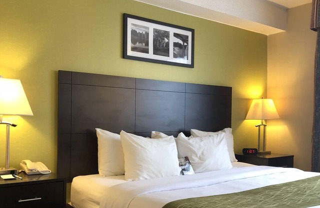 Comfort Hotel & Suites
