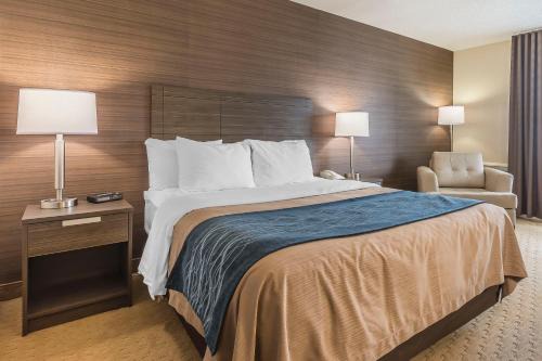 Comfort Inn Levis 