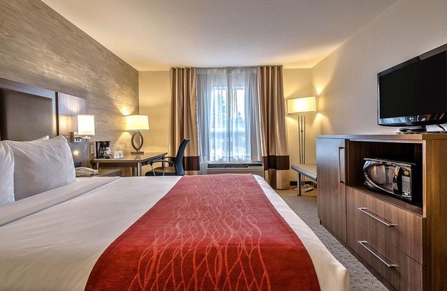 Comfort Inn & Suites South