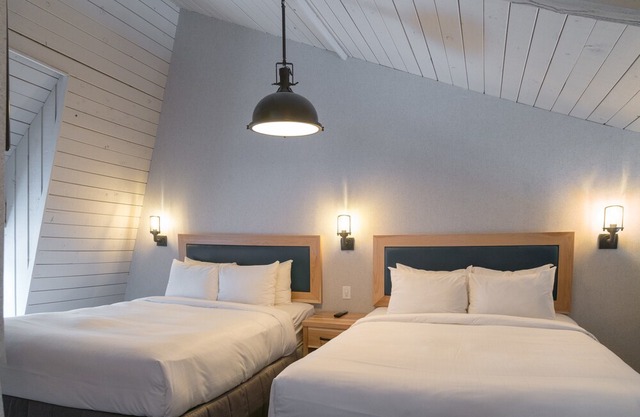 Deluxe Condo + Cozy Loft | See Wildlife outside your window!
