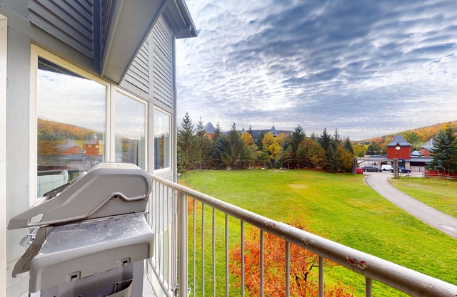 Dog-friendly skiier's condo with high-speed WiFi, gas fireplace, & central AC