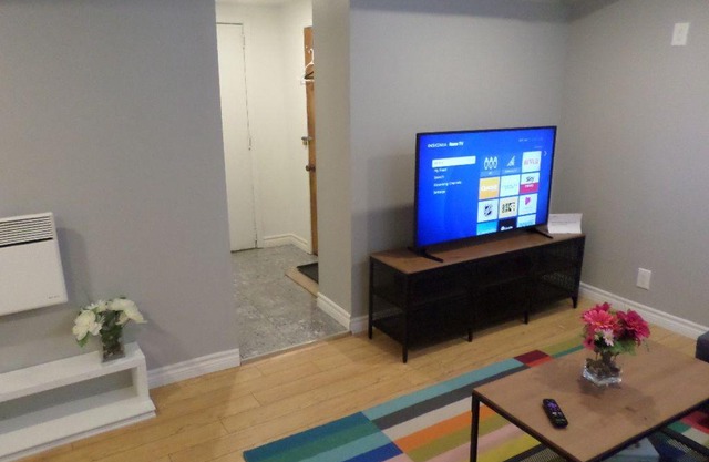 Fantastic and Modern Downtown 1-Bed Basement Apt. Parking, WiFi and Netflix included.