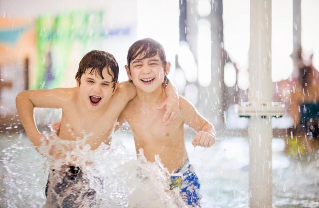 Holiday Inn Suites Ambassador Bridge Ihg Hotel 