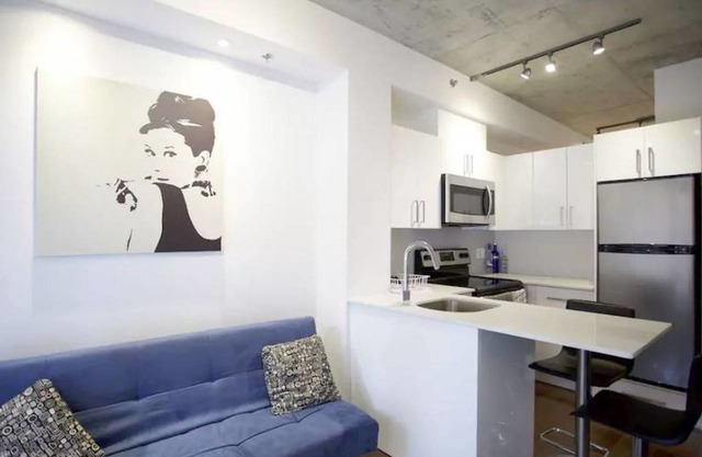 Impeccable Parc Avenue Pad