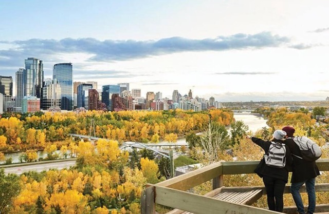 Lovely 2 bedrooms in bridgeland