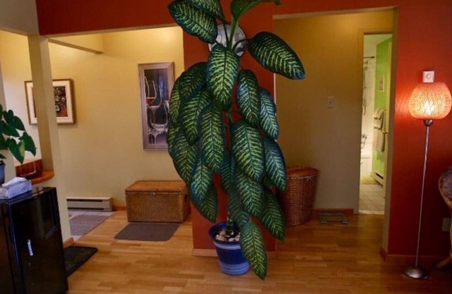 Magog Lovely Vacation Home