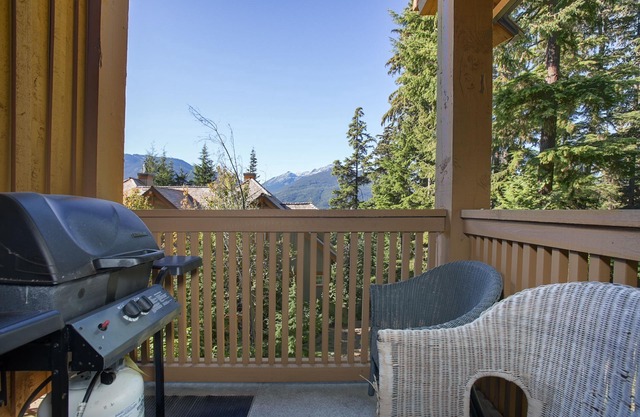 Mountain Star 16 - Ski in Walk out, Private Hot Tub, Fireplace