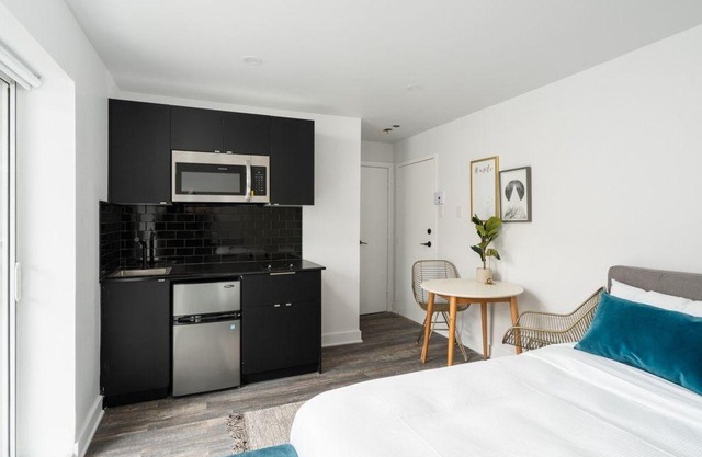 Newly renovated 1 bedroom Studio near Berri-UQAM