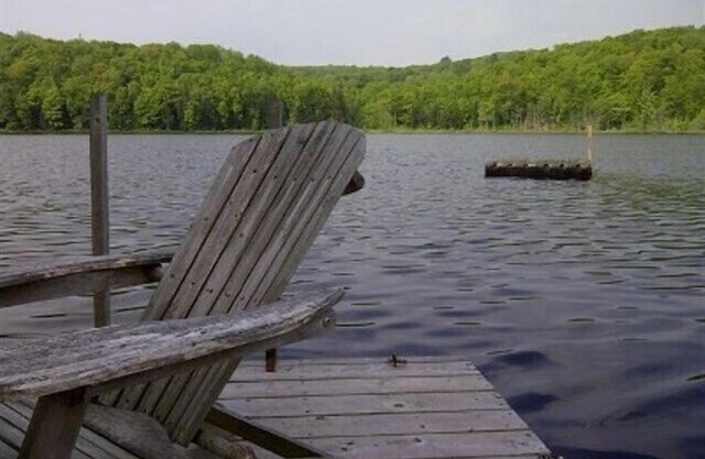 Nestled Wooded Acres 
