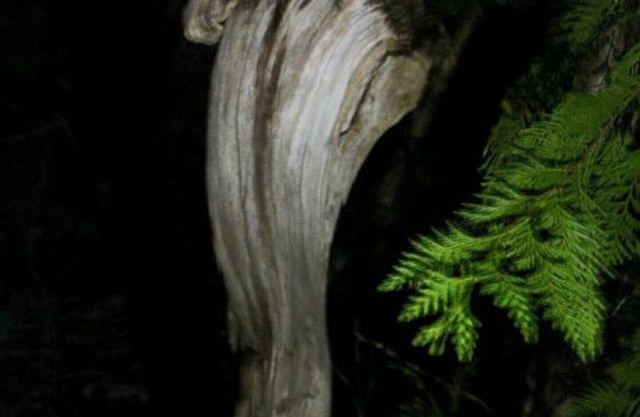 Selah Retreat Guesthouse B&B - "Defining Tranquility, Beauty and Excellence!"