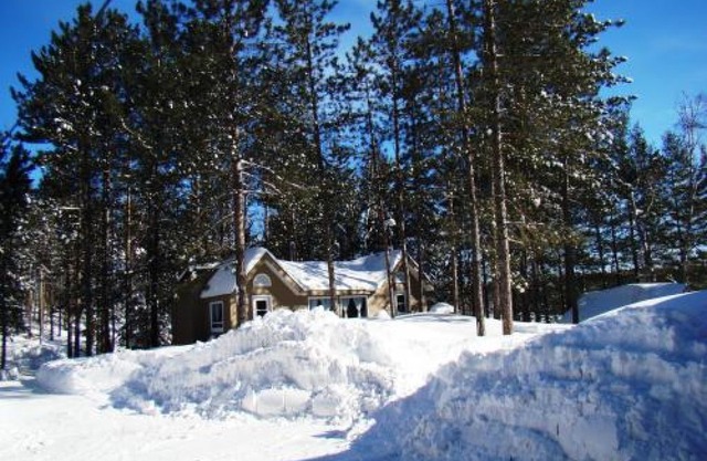Silver Birches Cottage Rental - Cottage #3