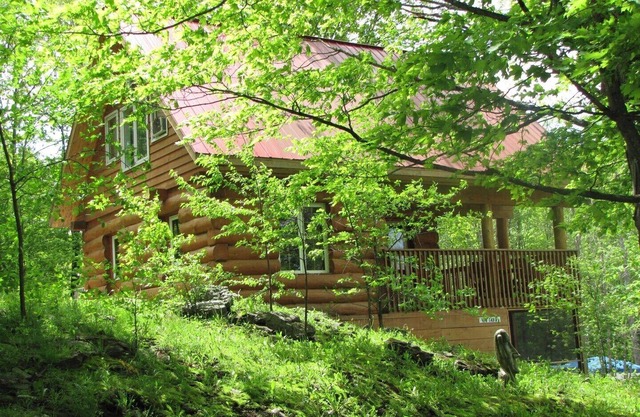 Springwood Cottages Cottage 
