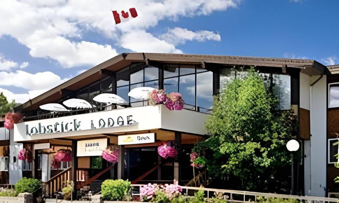 Jasper Cabin | 35 m² Lodge ∙ 127 guests