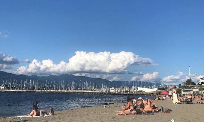Kitsilano Bed & Breakfast | 84 m² Bed and breakfast ∙ 5 guests