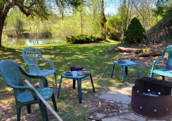 Central Huron Other | East Pond View Campsite