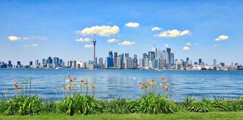 Fort York Apartment | Luxury CN Tower Suites - Save on Monthly Stays