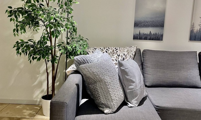 Niagara Apartment | Pet friendly cozy basement apartment in Queen West